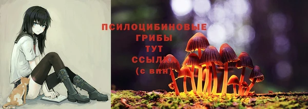 а пвп мука Алексин