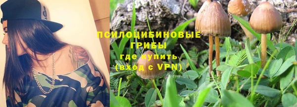 а пвп мука Алексин