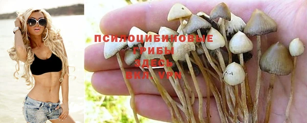 а пвп мука Алексин