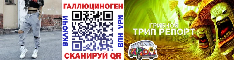 Галлюциногенные грибы MAGIC MUSHROOMS  где можно купить   мега вход  Гдов 