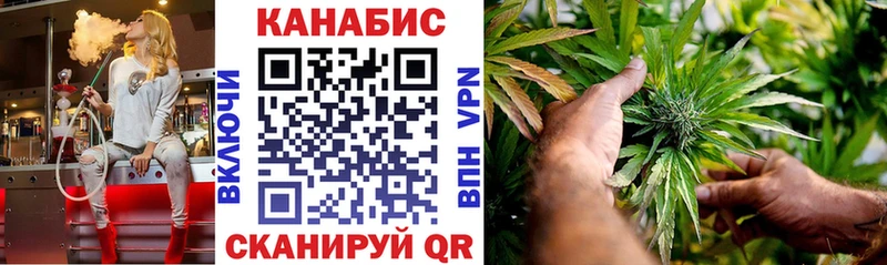 Конопля план  даркнет сайт  Гдов 